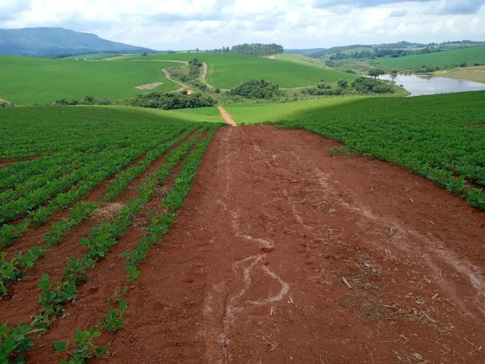 Fazenda, 2 quartos - Foto 4