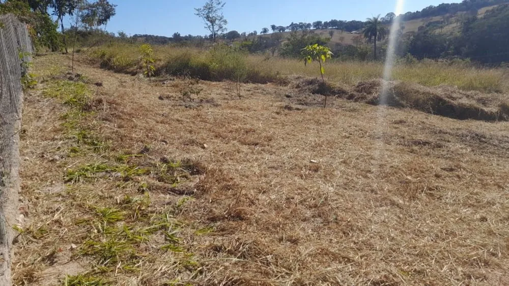 Terreno, 1000 m² - Foto 10