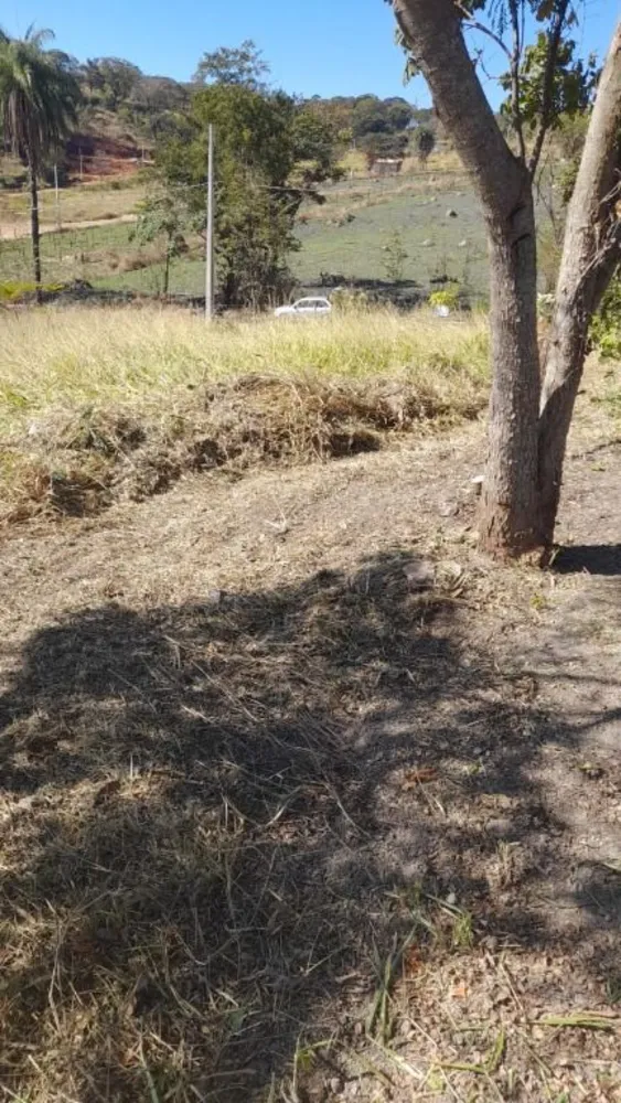 Terreno, 1000 m² - Foto 6