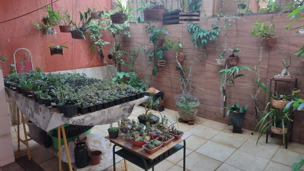 Casa, 5 quartos, 120 m² - Foto 7