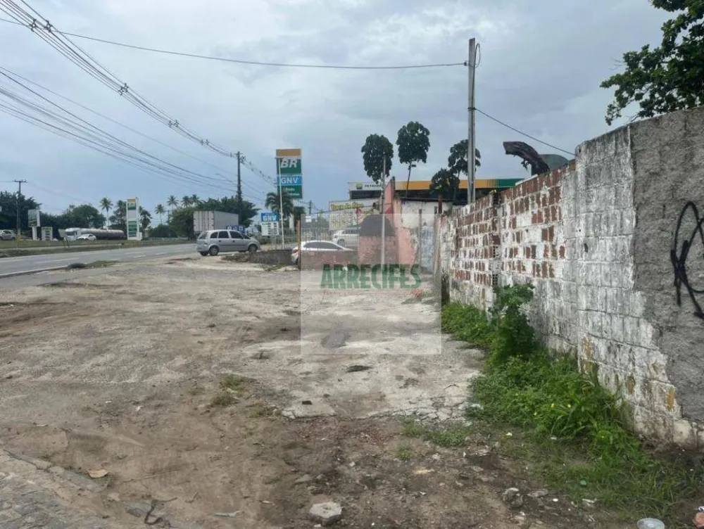 Terreno, 2000 m² - Foto 4