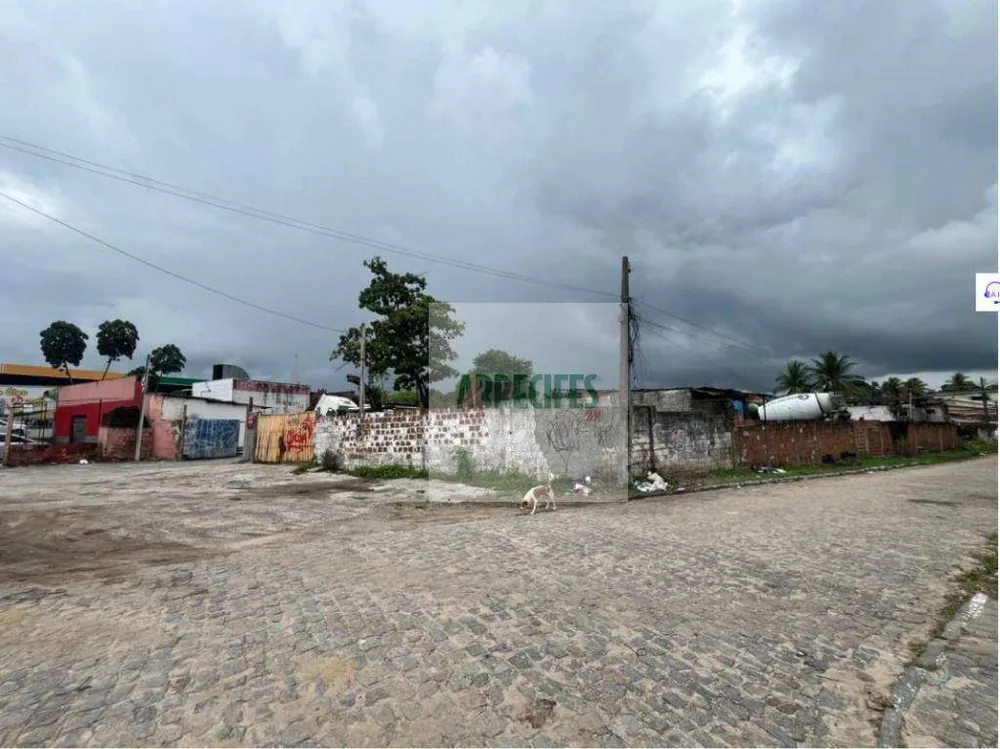 Terreno, 2000 m² - Foto 3