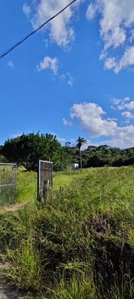 Terreno, 8 hectares - Foto 8