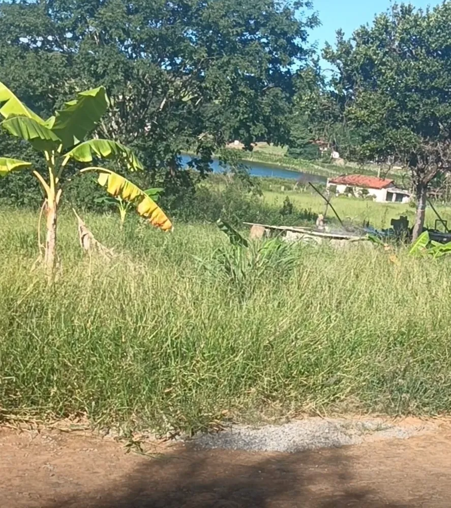 Terreno, 8 hectares - Foto 11