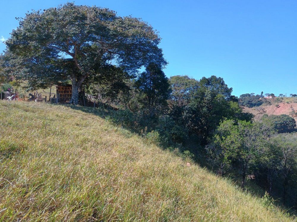 Sítio à venda com 4 quartos, 23000m² - Foto 3
