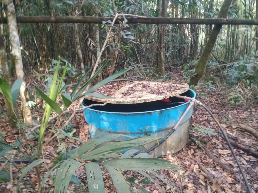 Chácara, 3 quartos, 3 hectares - Foto 4