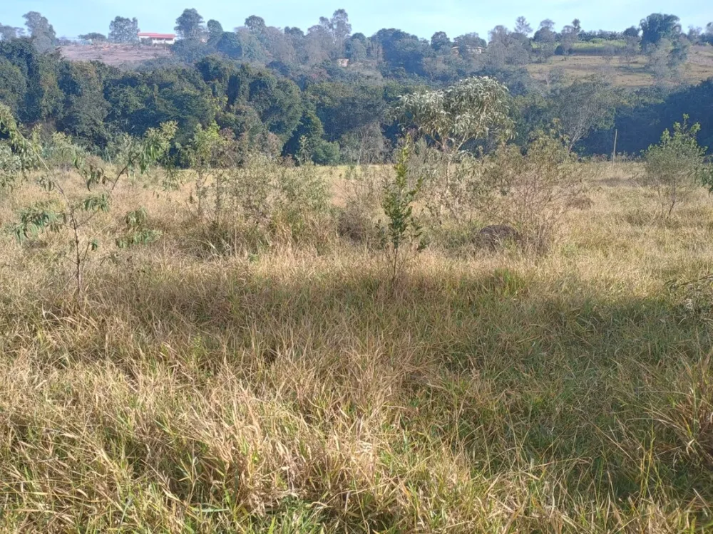 Chácara, 3 quartos, 3 hectares - Foto 6