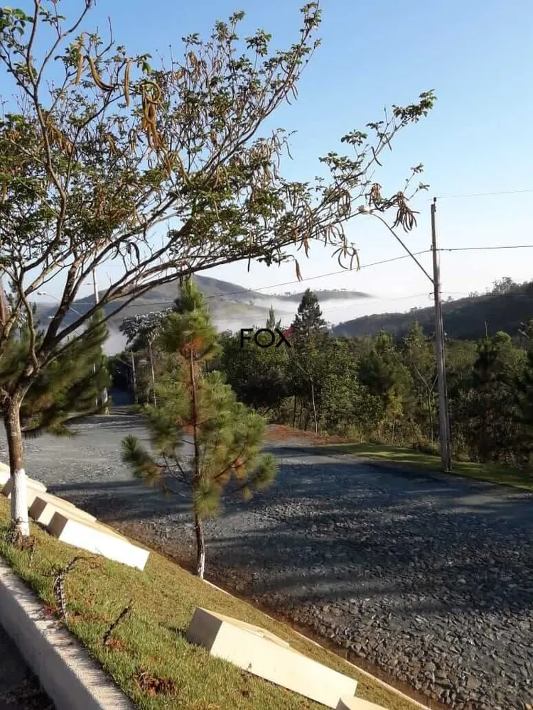 Terreno, 1000 m² - Foto 5