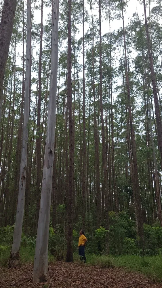 Fazenda, 1 quarto - Foto 2