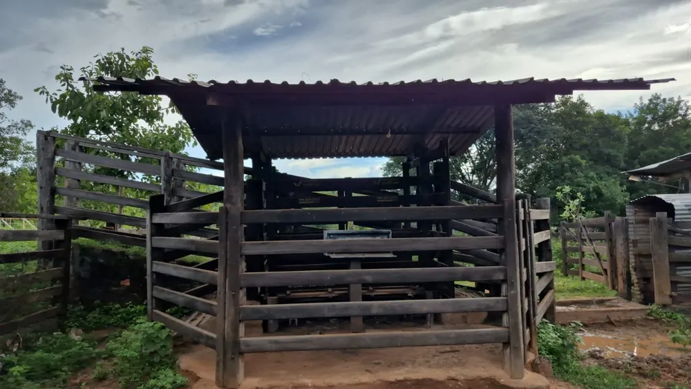 Fazenda, 2350 hectares - Foto 4