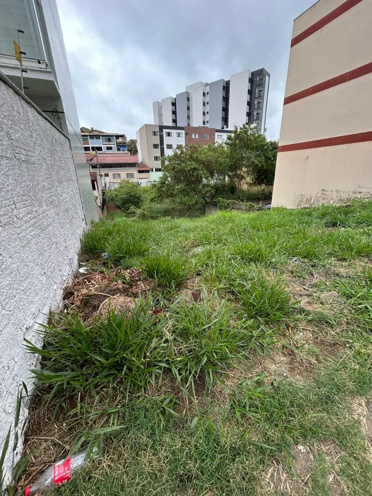 Terreno - Foto 2