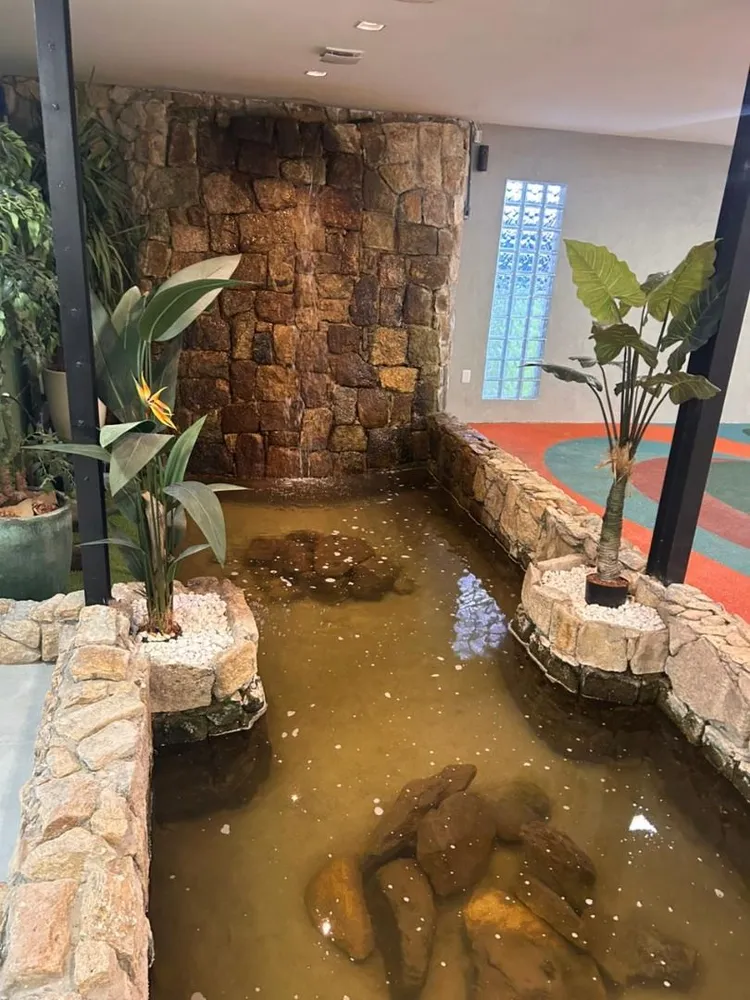 Sala-Conjunto - Foto 10