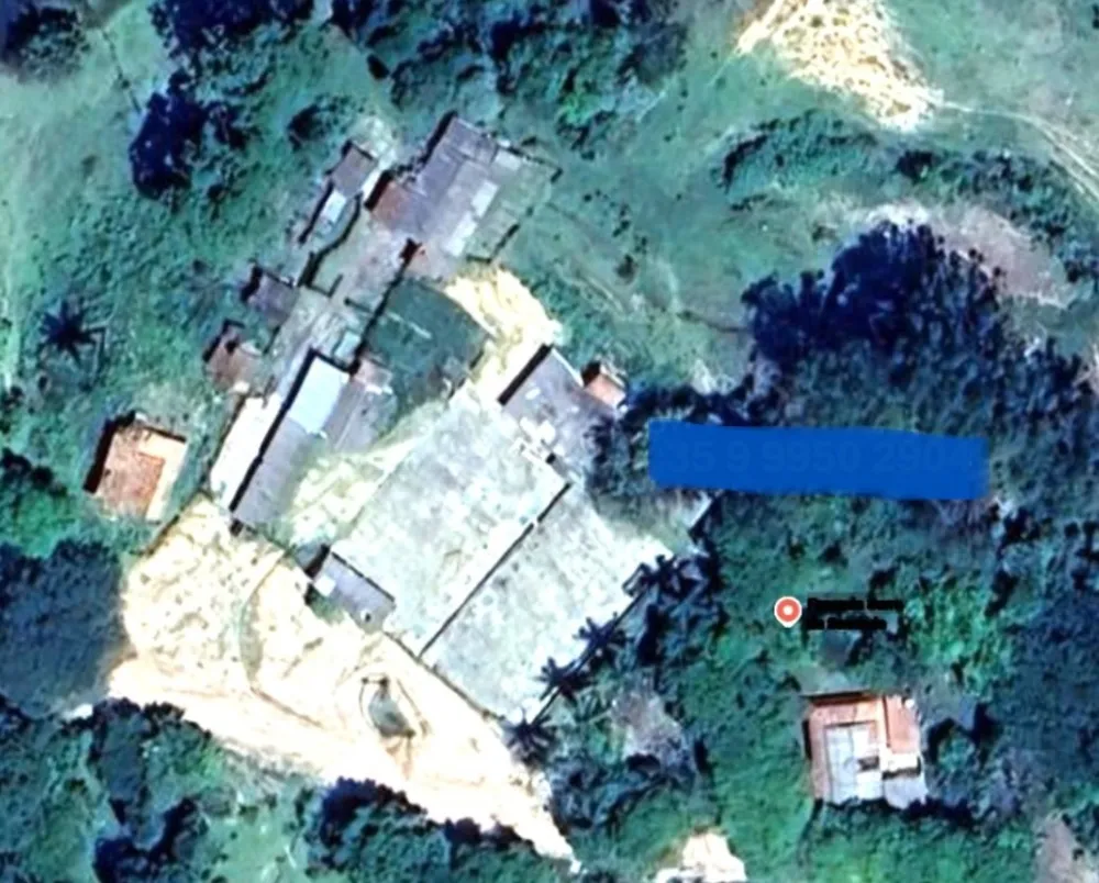Fazenda, 146 hectares - Foto 9