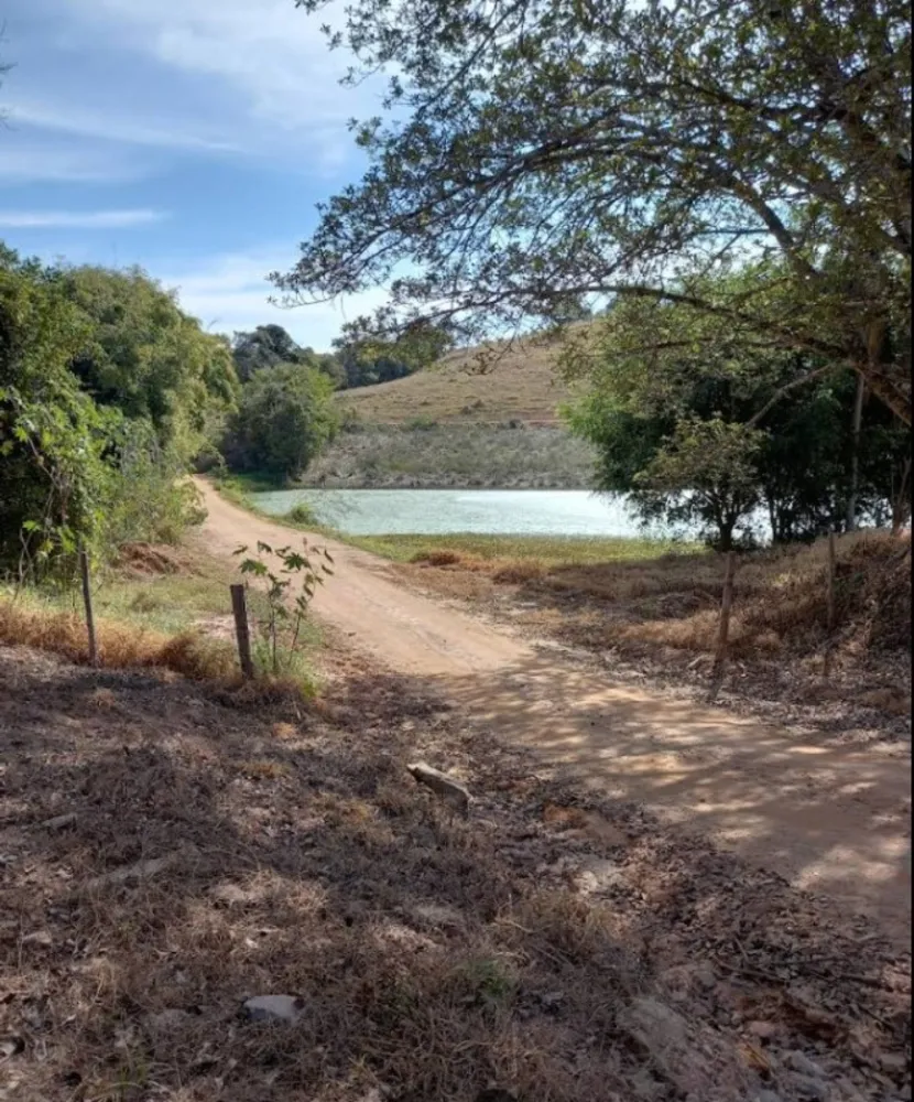 Fazenda, 146 hectares - Foto 5