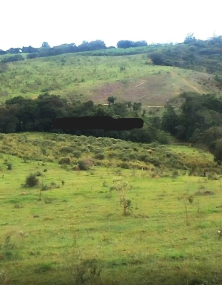 Fazenda, 146 hectares - Foto 1