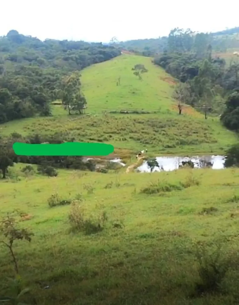 Fazenda, 146 hectares - Foto 8