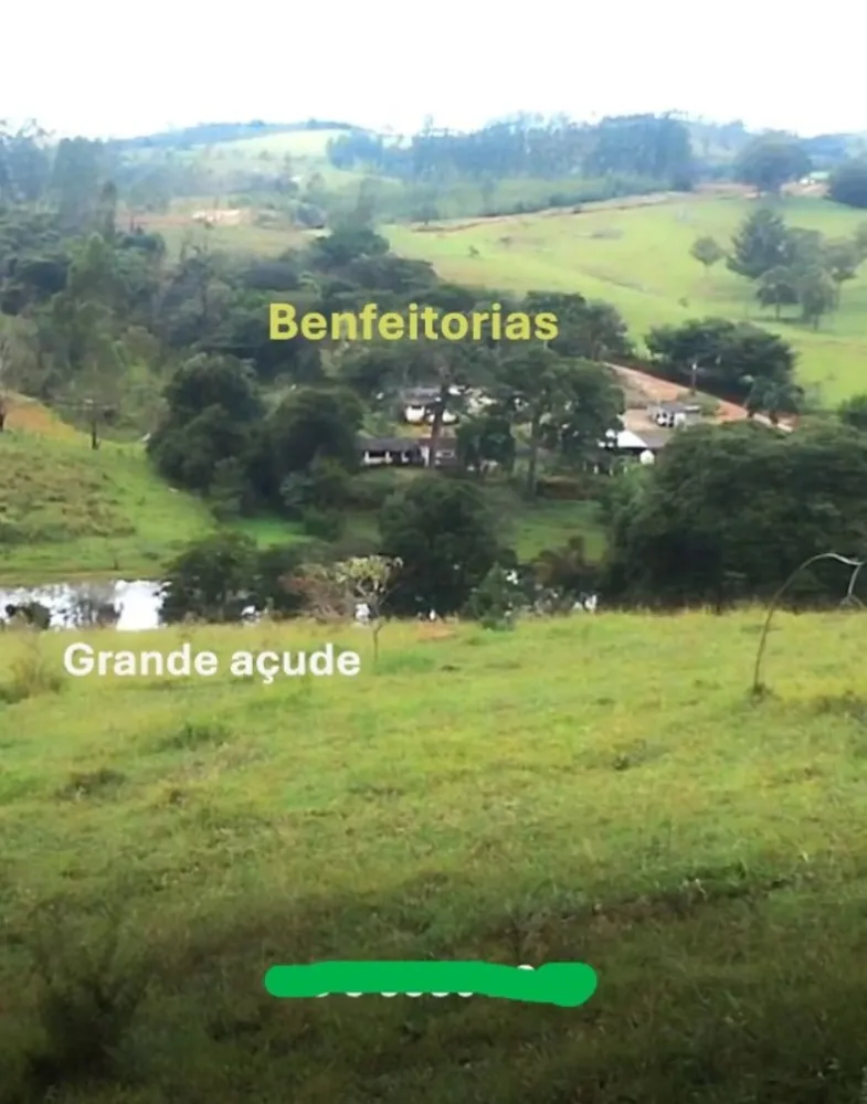 Fazenda, 146 hectares - Foto 4