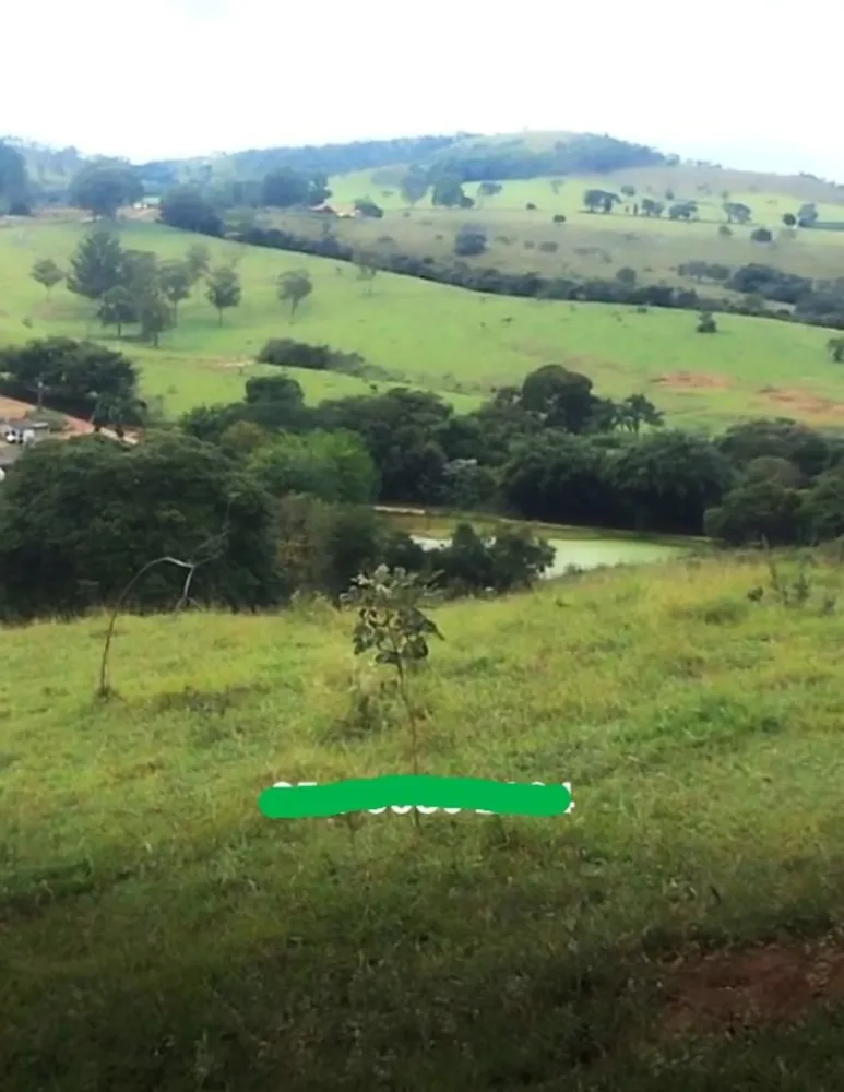 Fazenda, 146 hectares - Foto 7