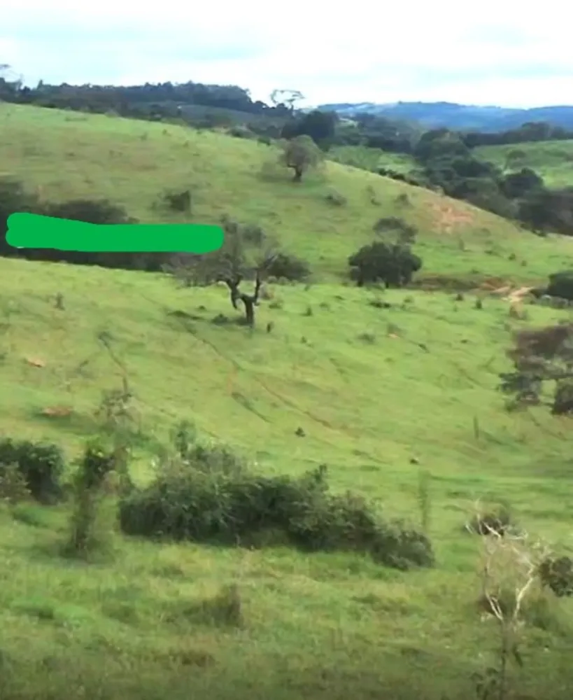 Fazenda, 146 hectares - Foto 6