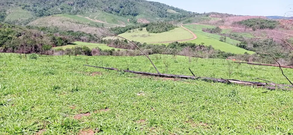 Fazenda, 1 quarto - Foto 7