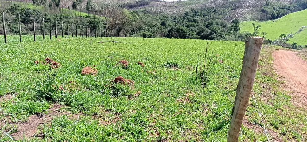 Fazenda, 1 quarto - Foto 3