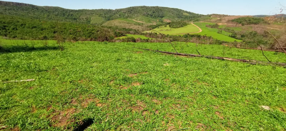 Fazenda, 1 quarto - Foto 8
