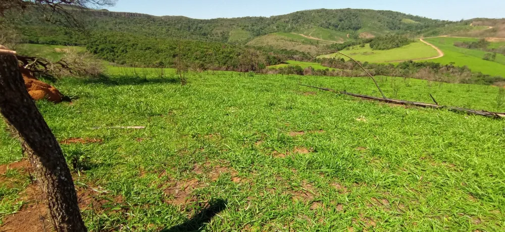 Fazenda, 1 quarto - Foto 14