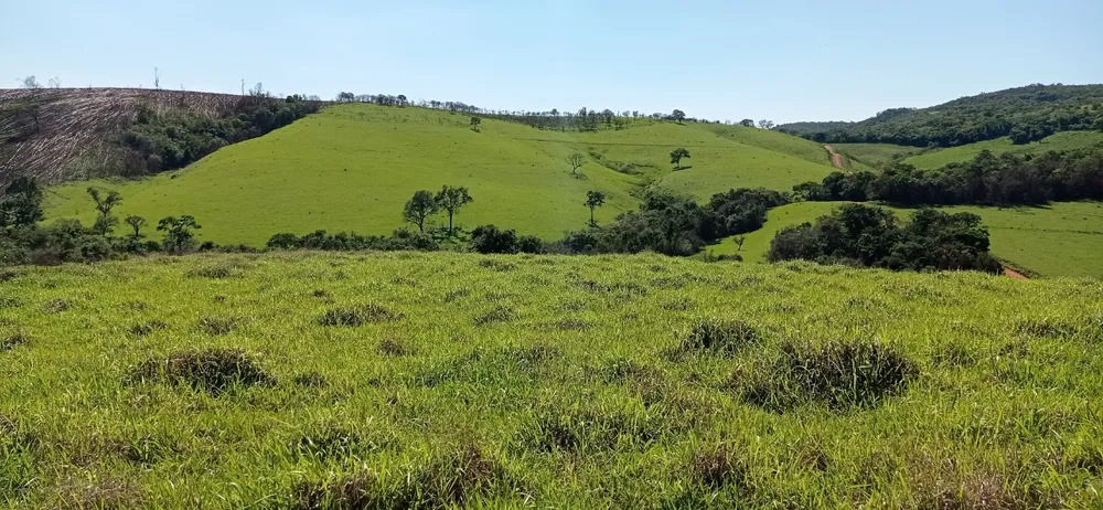 Fazenda, 1 quarto - Foto 1