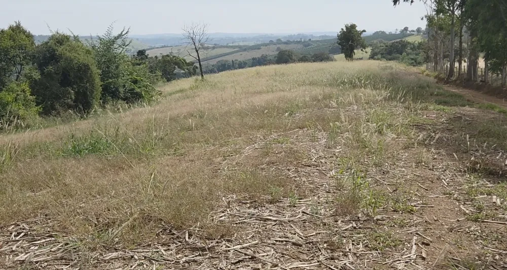 Sítio, 1 quarto, 34 hectares - Foto 3