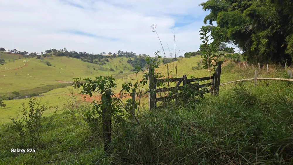 Sítio, 1 quarto, 34 hectares - Foto 7