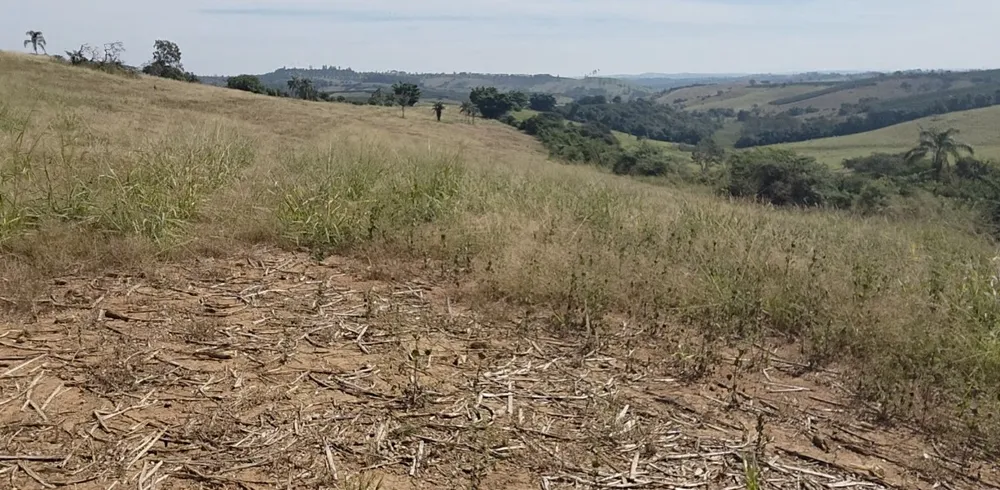 Sítio, 1 quarto, 34 hectares - Foto 2