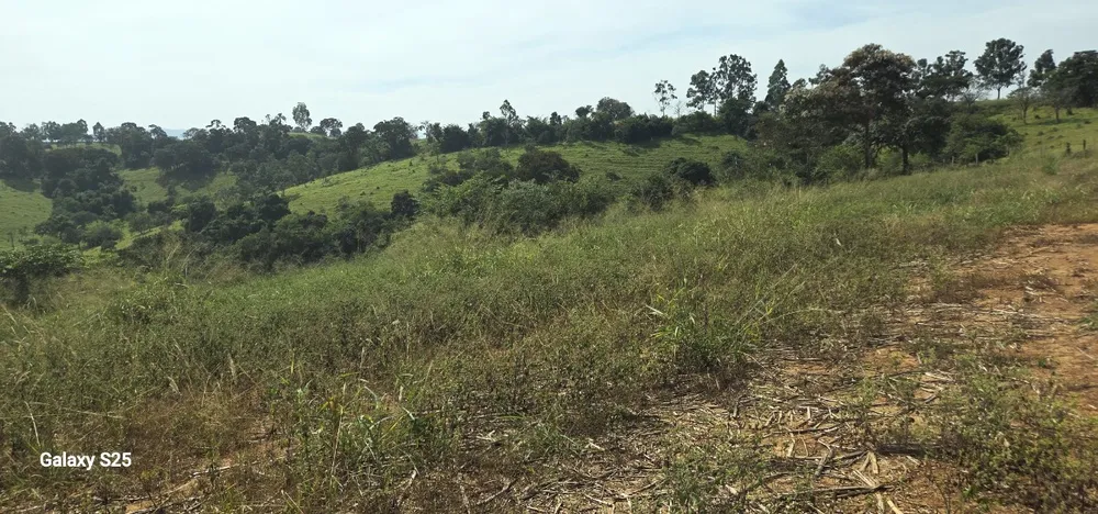 Sítio, 1 quarto, 34 hectares - Foto 4