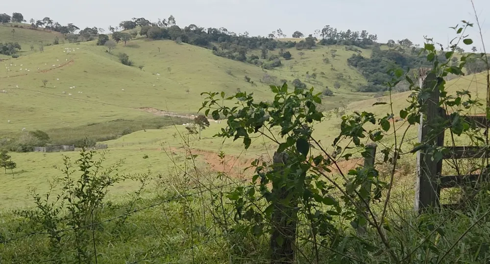 Sítio, 1 quarto, 34 hectares - Foto 1