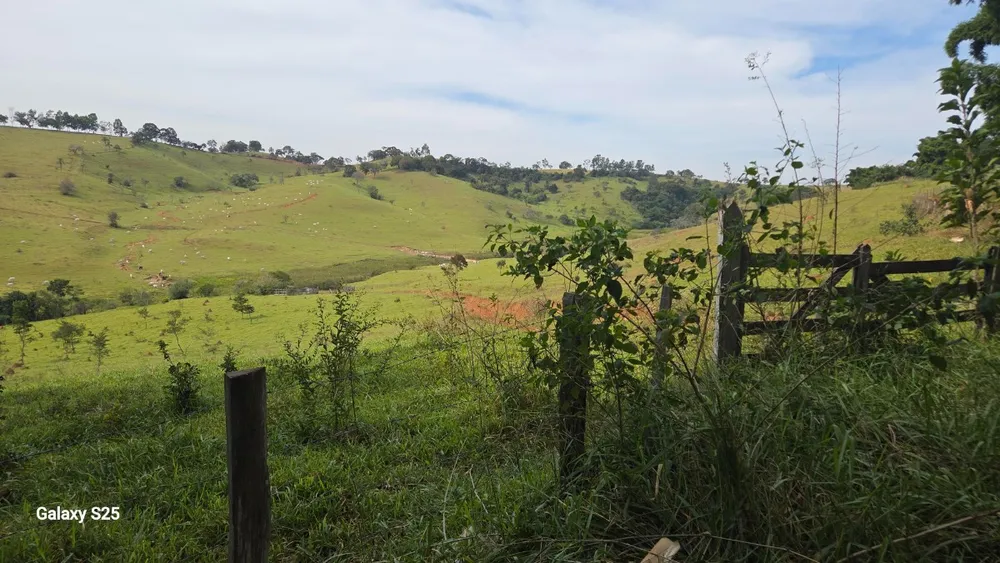 Sítio, 1 quarto, 34 hectares - Foto 8