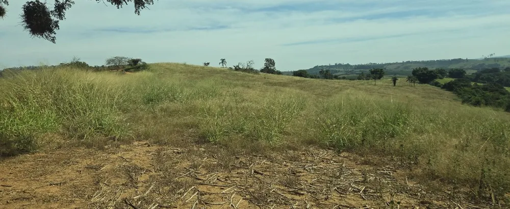 Sítio, 1 quarto, 34 hectares - Foto 6