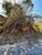 Terreno, 360 m² - Foto 1