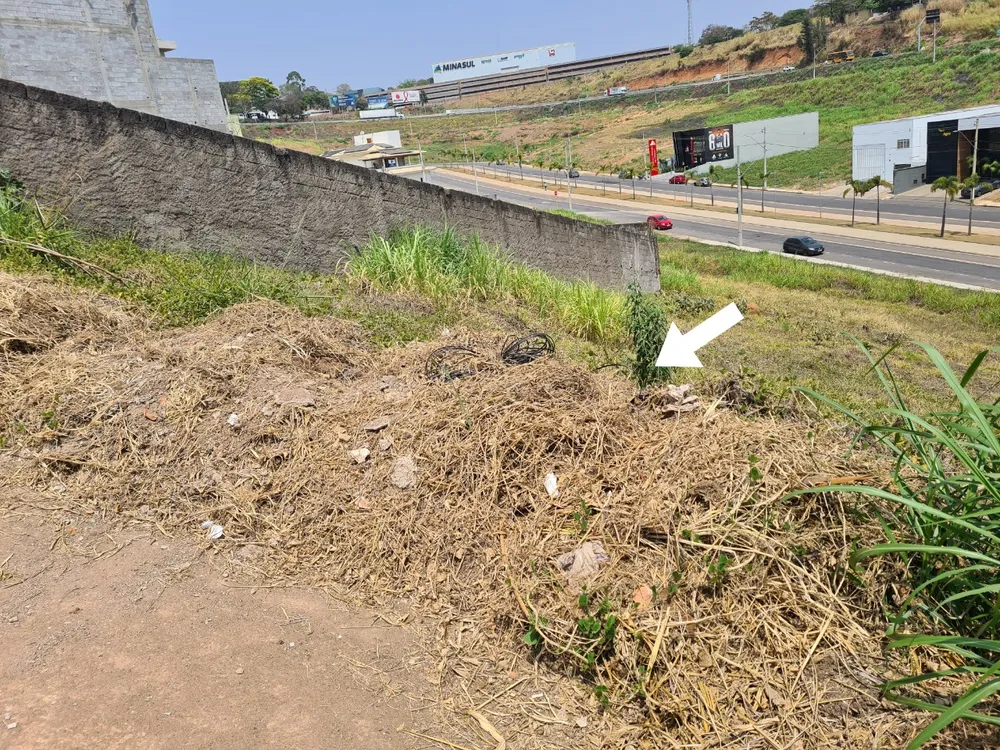 Terreno, 360 m² - Foto 4