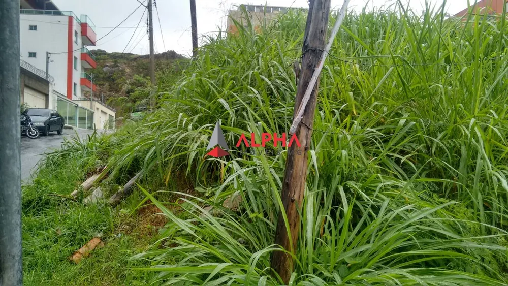Terreno, 786 m² - Foto 5