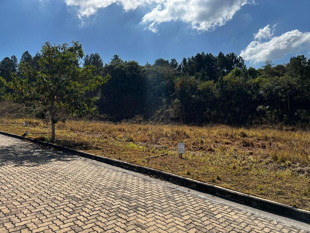 Terreno à venda, 1200m² - Foto 3
