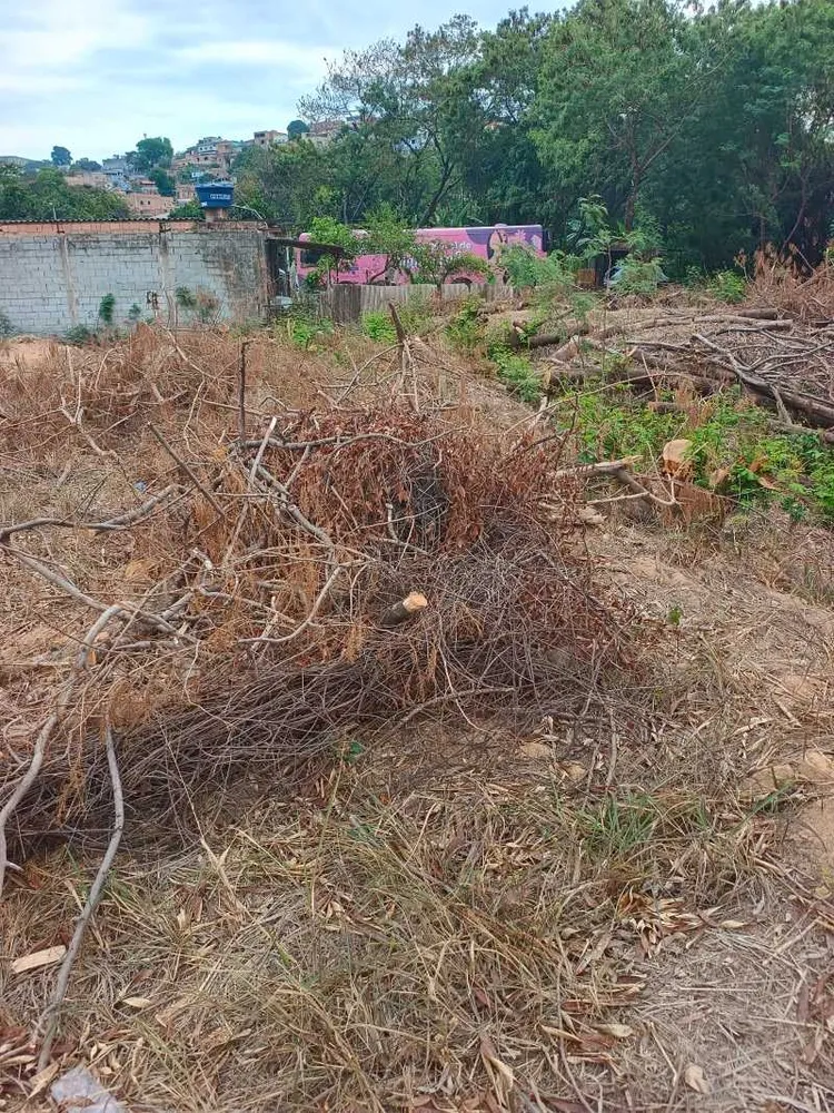 Terreno, 1 hectares - Foto 2