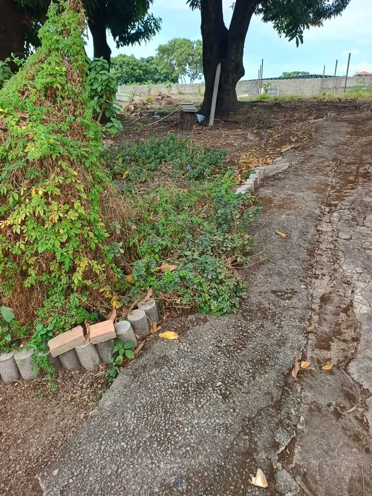 Terreno, 1 hectares - Foto 6