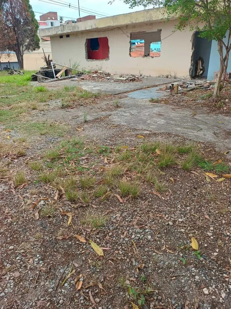 Terreno, 1 hectares - Foto 14