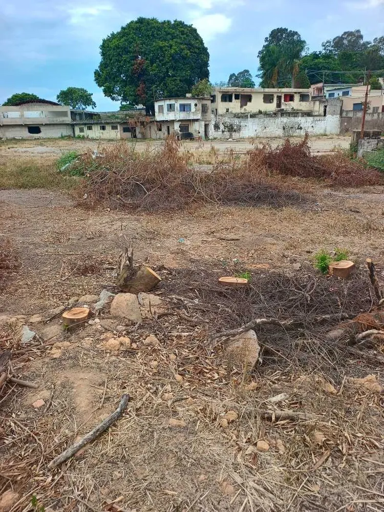 Terreno, 1 hectares - Foto 1