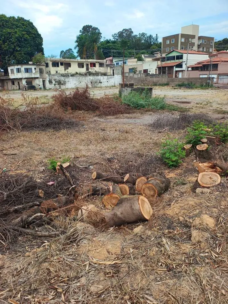 Terreno, 1 hectares - Foto 3