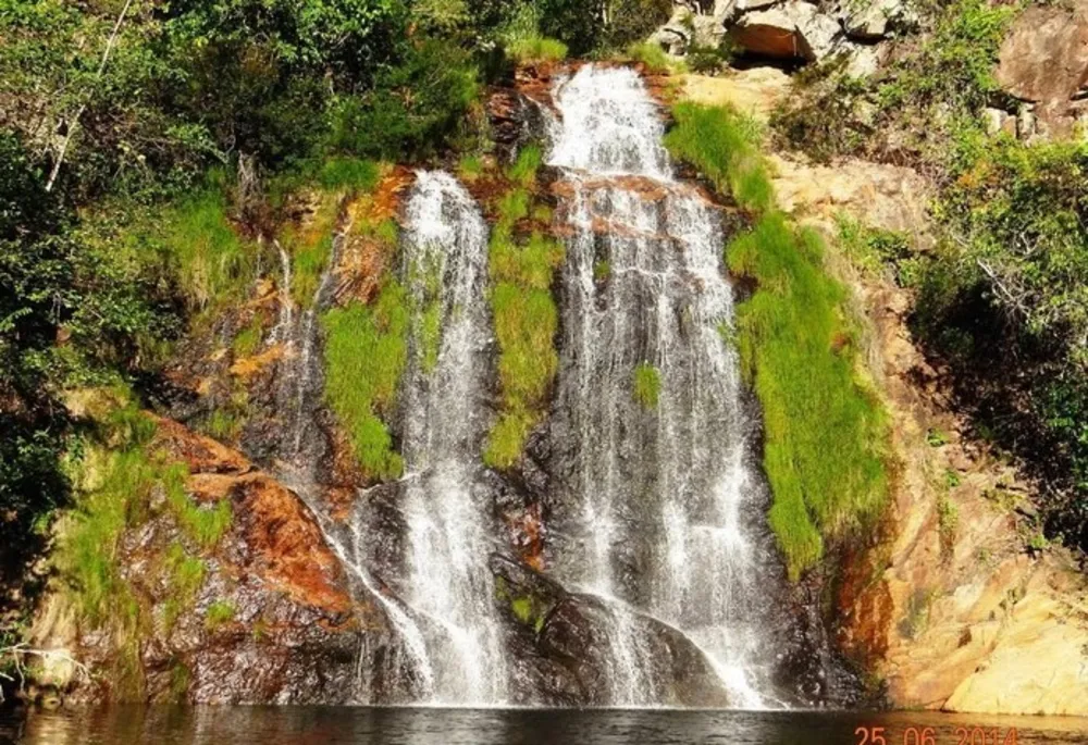 Fazenda, 1350 hectares - Foto 4