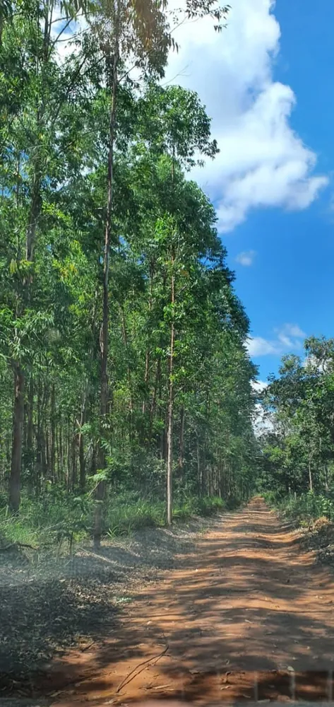 Fazenda, 1350 hectares - Foto 1