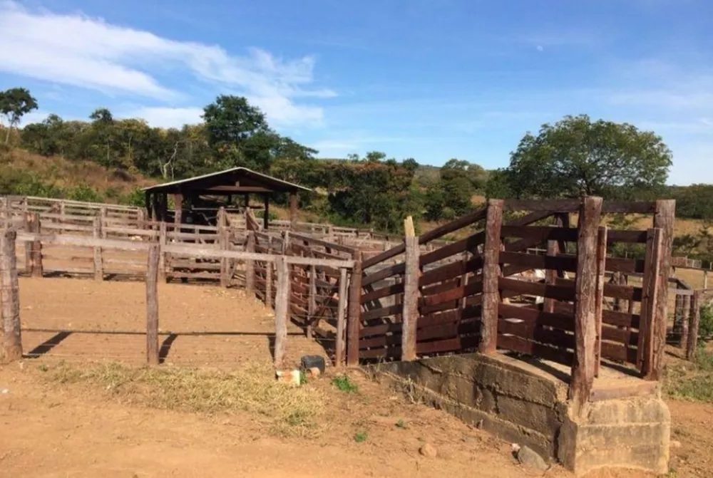 Fazenda, 1350 hectares - Foto 2