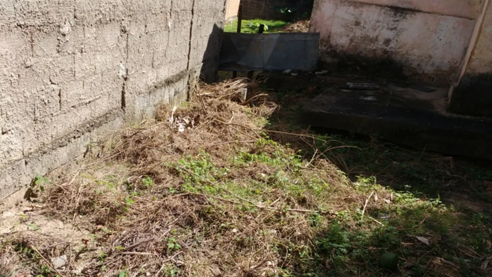Terreno, 1980 m² - Foto 7