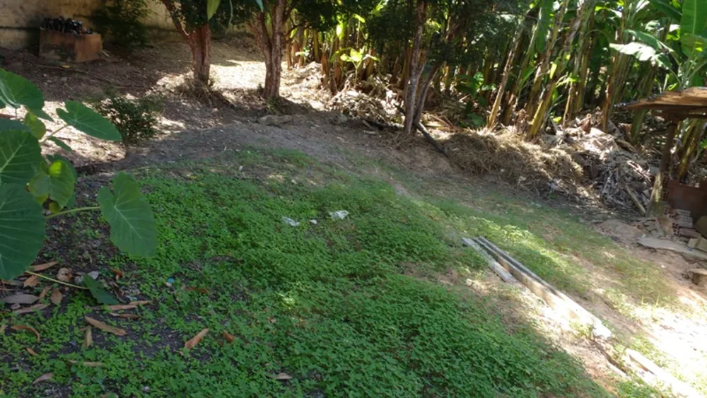 Terreno, 1980 m² - Foto 3