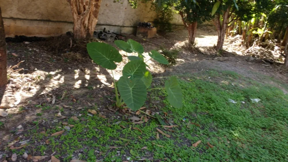 Terreno, 1980 m² - Foto 10